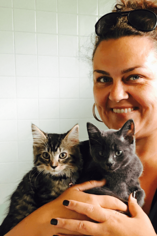 Gizmo Lort Smith Animal Hospital