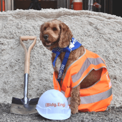 Lort Smith Turning of Soil - Baz