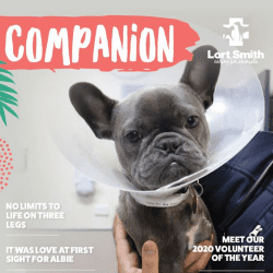 Companion Autumn 2021